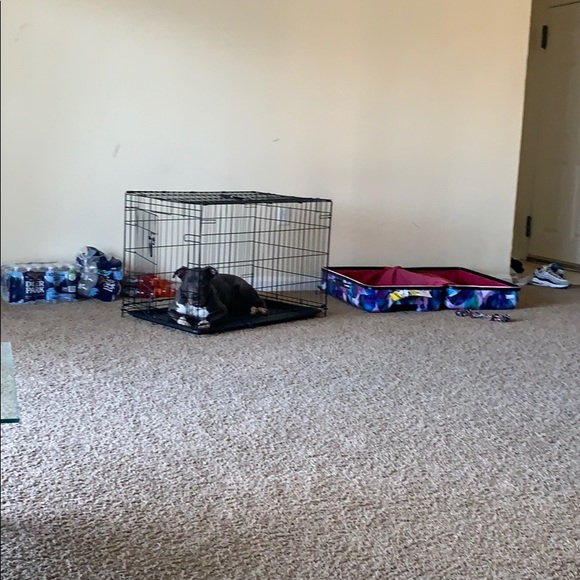 Medium dog cage